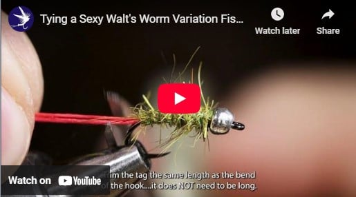 Tying a Sexy Walt's Worm Variation Fishing Fly